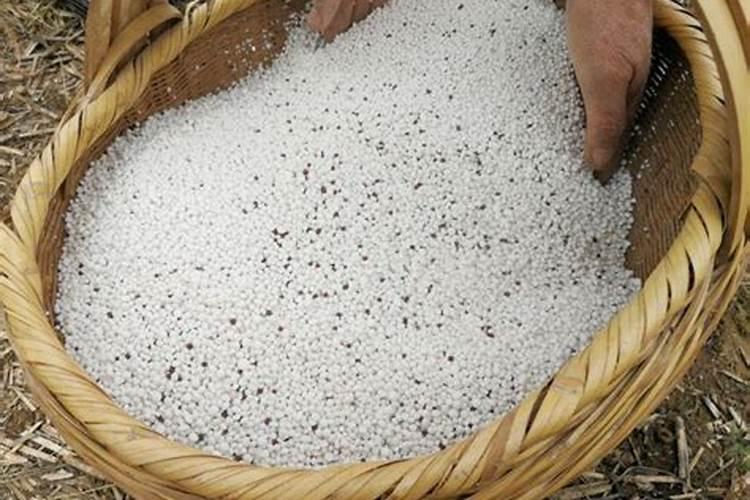 一斤红糖当真可以在使用上替代两袋化肥吗