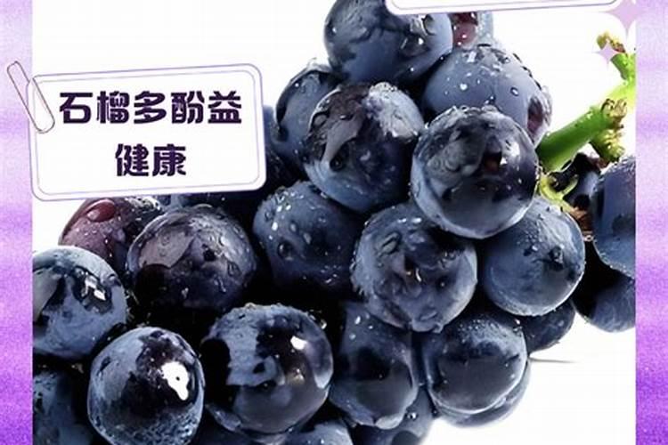 氮肥和磷肥还有钾肥,哪一种肥料对植物的生长好处最大呢