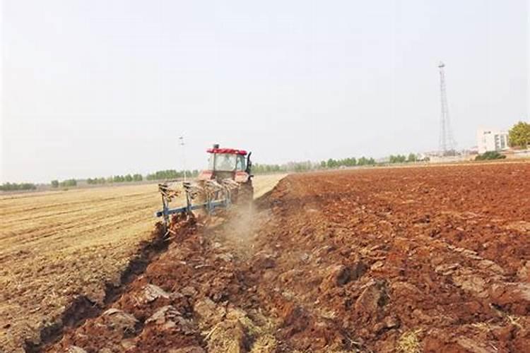 磷酸二氢钾对地瓜有澎胀作用吗