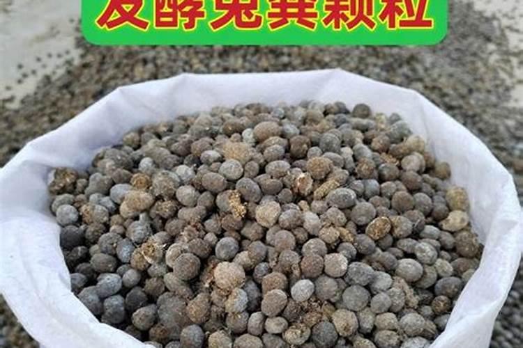 用发酵的泡黄豆水给黄瓜、芸豆施肥可以吗？