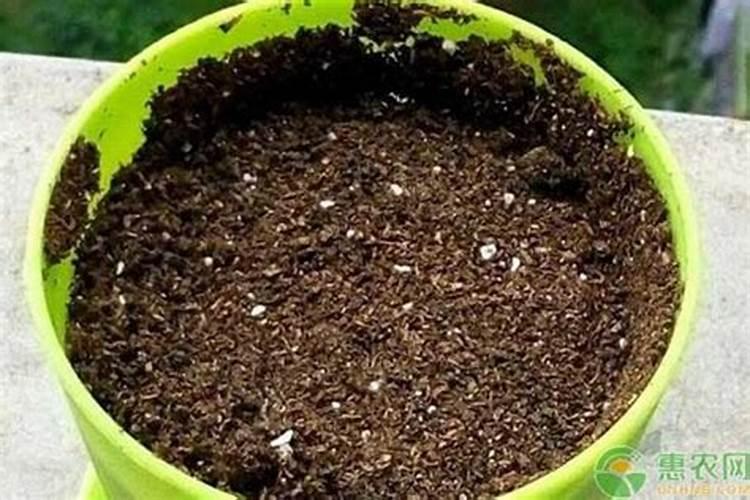 自制水溶肥配比表,水溶肥如何使用