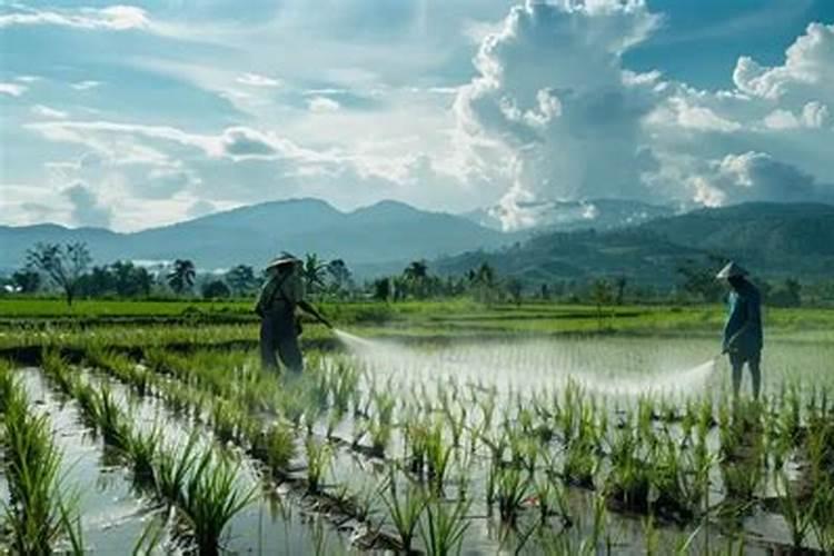 乙基多杀菌素能和钙镁硼锌铁混用吗