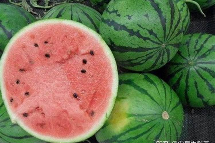 自制水溶肥配比表 水溶肥如何使用