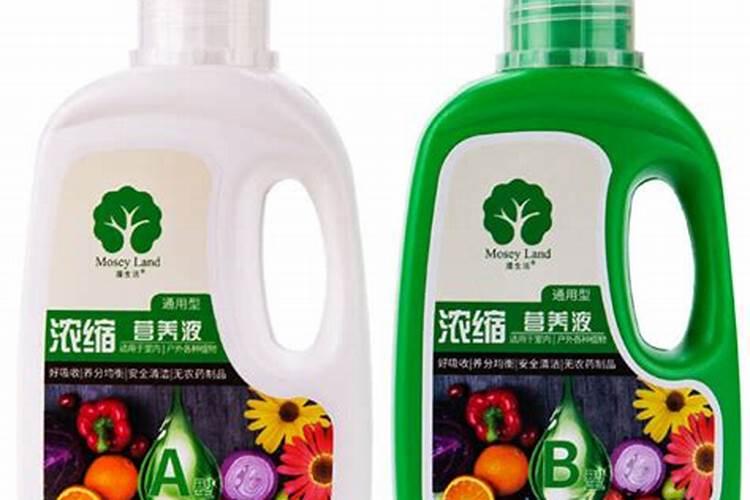 多肉可以用的肥料有很多,常见的有哪些？