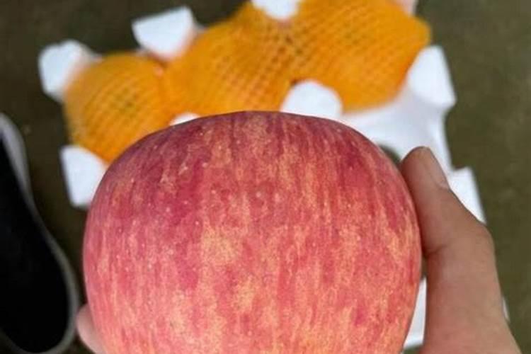 红富士苹果缺钙的原因及对策红富士苹果