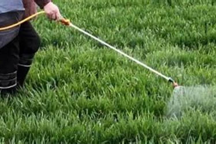 果实膨大秘诀,地下块茎根茎膨大配方,膨大增产50%以上!