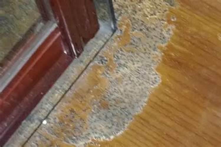 18种难养花,养一盆死一盆的原因找到了!(干货满满,建议收藏)!百度知...