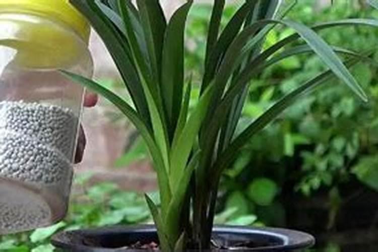 复合肥种花的正确使用方法、颗粒复合肥怎么使用正确