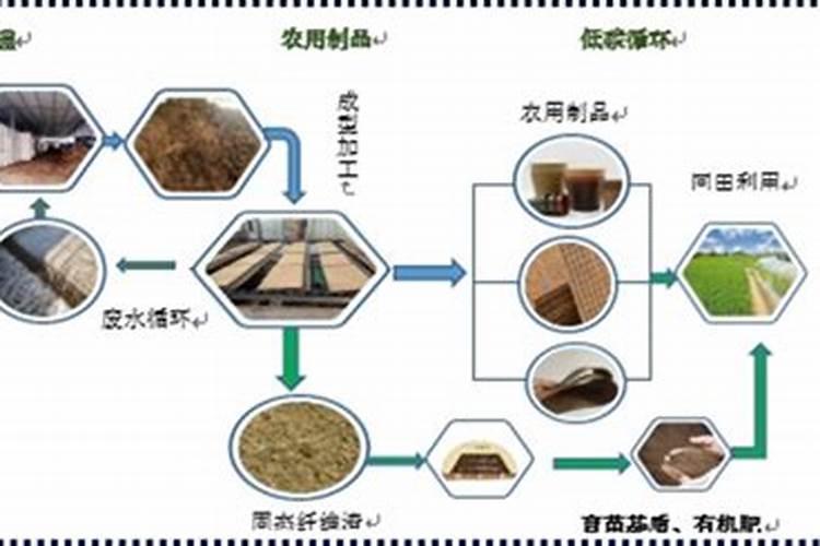 硝基腐植酸加入有机肥的作用与功效是什么