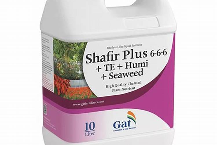 沙姜施肥用什么肥料