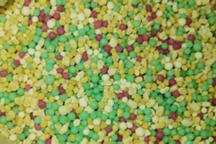 芒果树多久施肥一次 最佳施肥时间是几月份