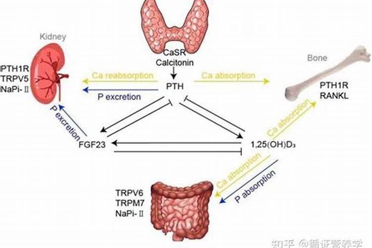 怎样提高磷肥的施用效果,提高水稻磷肥施用效果的方法
