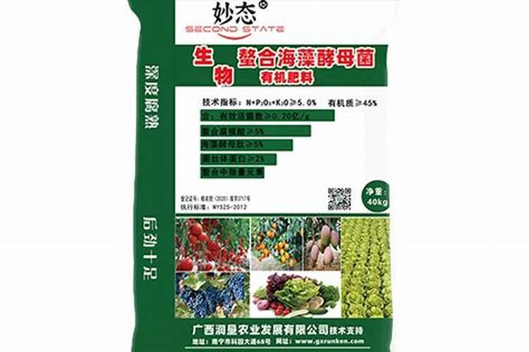 唐朝有什么吃喝的东西？