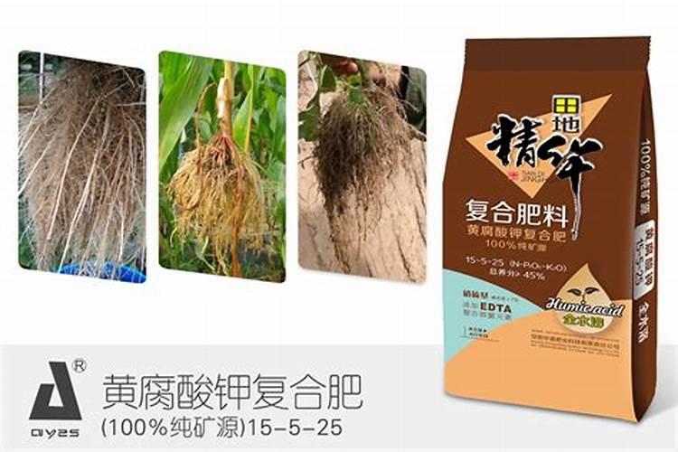 氮肥,磷肥,钾肥分别起什么作用
