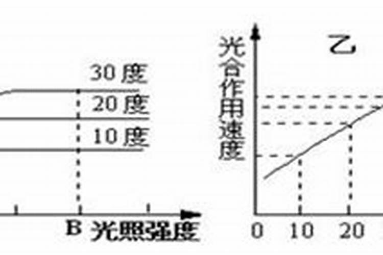 硫酸钾冲施的方法有哪些