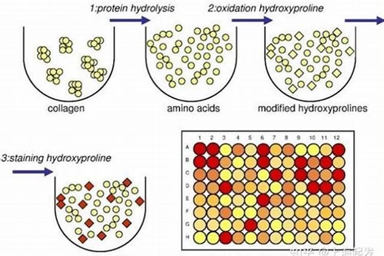 水稻穗肥用什么钾肥好