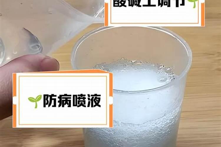 绣球可以用白醋调色吗