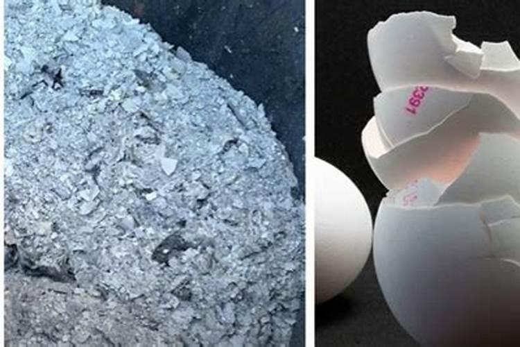 鸡蛋壳火烧成粉可以肥花树吗