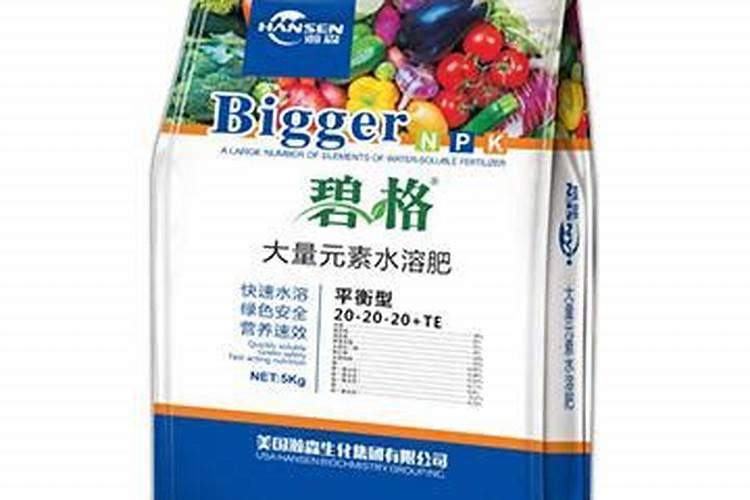 蜜柚不同生长阶段怎么施肥 施肥技巧总结