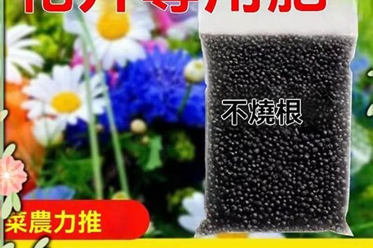 花卉叶面肥有哪些