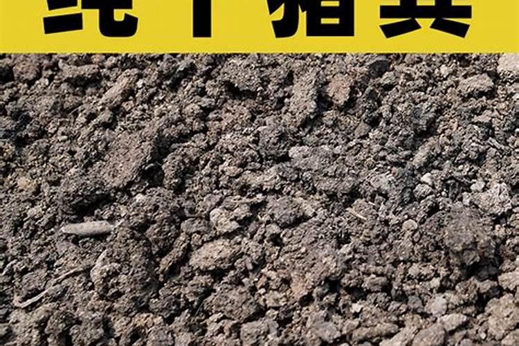 大粪可以做辣椒肥料吗