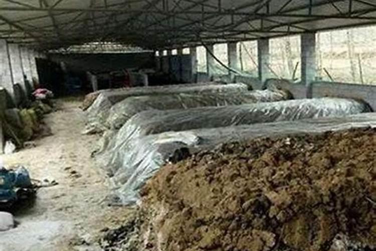 在阳台种植苦瓜必须施肥吗？是什么肥？