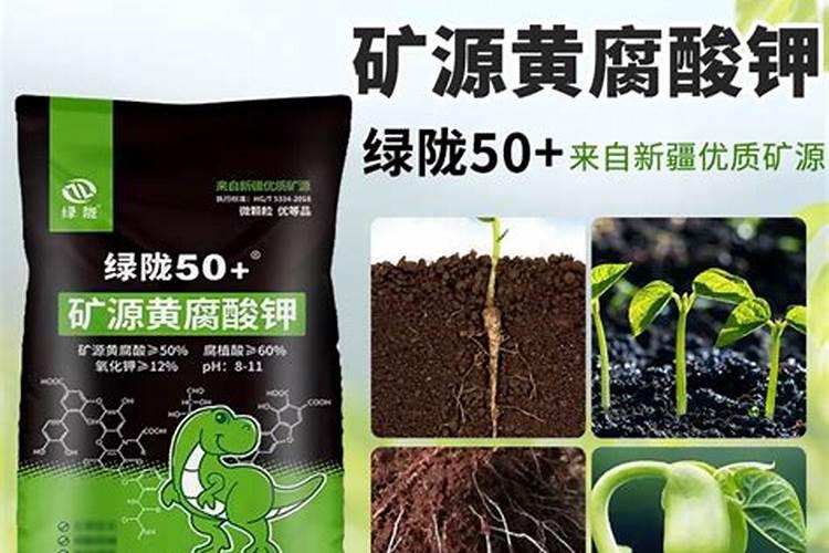 果树果子增甜喷洒什么肥料