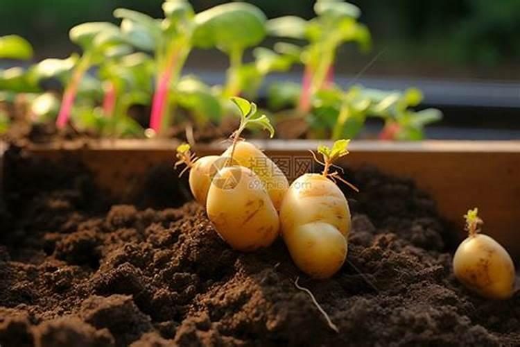 哪些菜要尽量少吃？