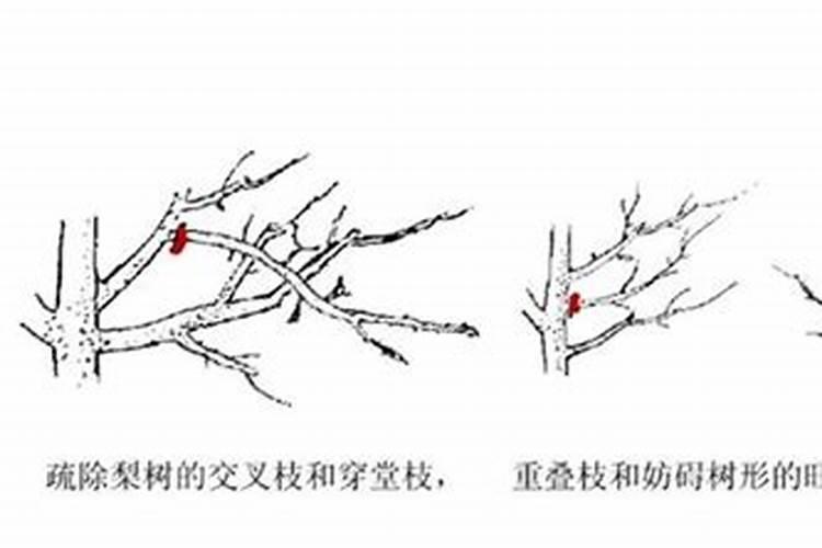 磷酸二氢钾叶面肥配方