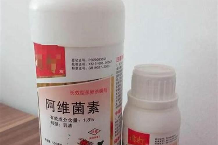 美早大樱桃种植方法技术