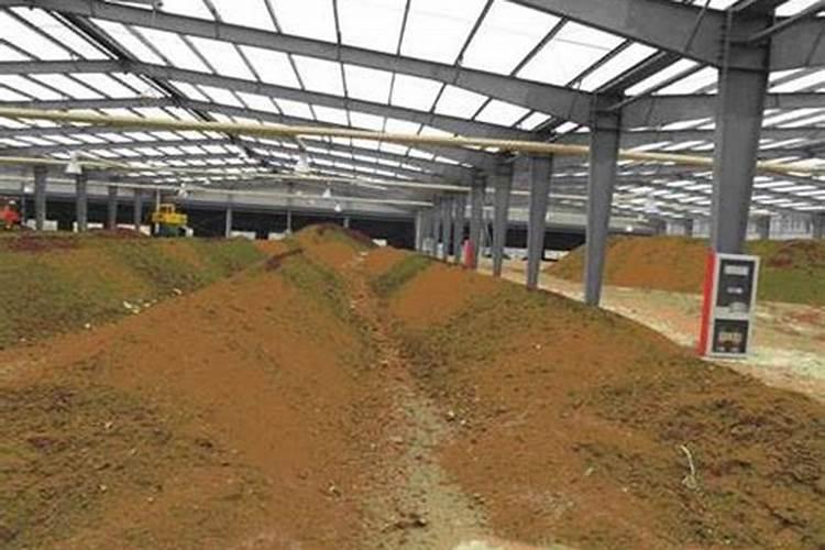 水溶肥是有机肥吗 有机水溶肥是什么肥料