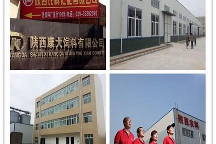 龙血树叶尖干枯怎么回事？