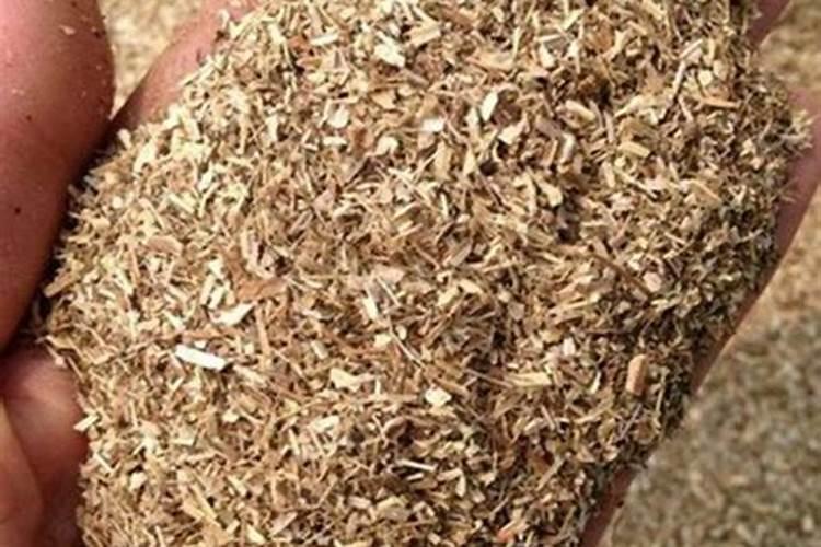 花生壳怎么做肥料种花 花生壳腐熟是发霉吗