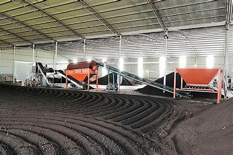 红薯加磷有什么效果？