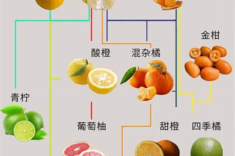 用什么药物能使柑橘快速彭大？