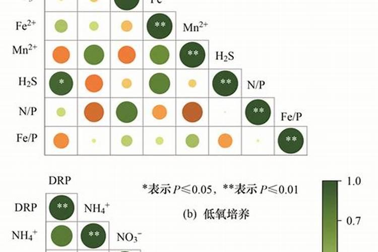 磷肥易溶于水吗