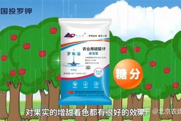 苹果花后什么时间施肥最好