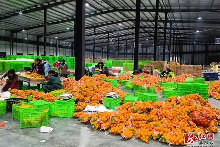 种植黄瓜使用喜满地水溶肥可以吗？