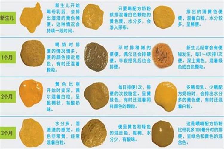 排大便的过程解析