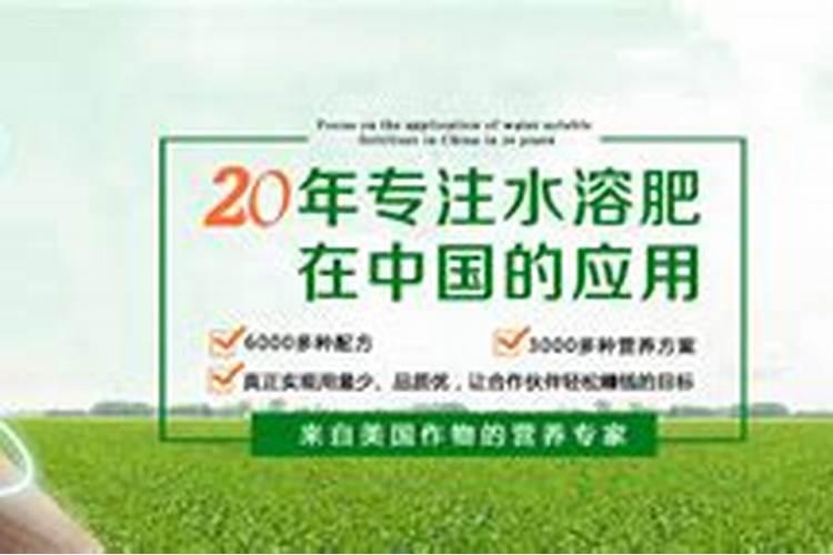 东北大棚种什么效益好