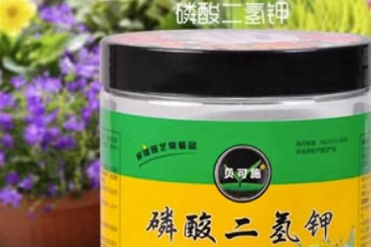 葡萄秋后施有机肥一亩地施多少