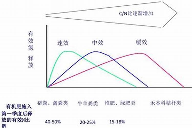蔬菜苗种多久施肥 蔬菜苗长多久后施肥最合适