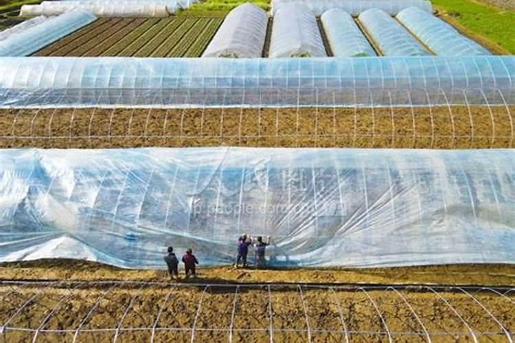 水溶肥十大名牌