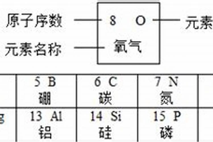 单质肥都有什么