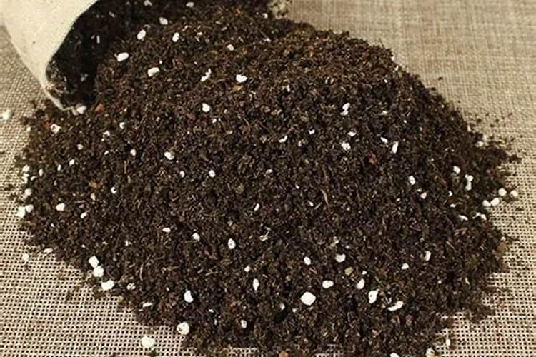 腐植酸是干什么用的？多少钱一吨？