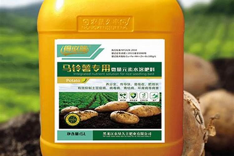 马铃薯的高产种植管理技术 马铃薯怎么施肥