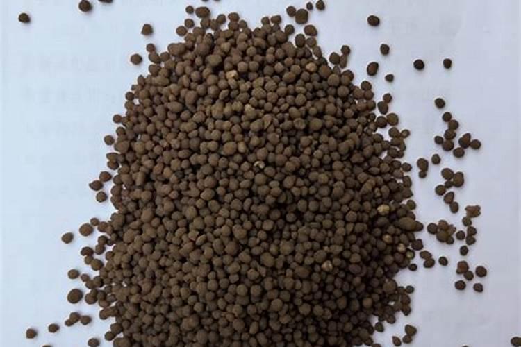 蒜苗出苗后怎么施肥