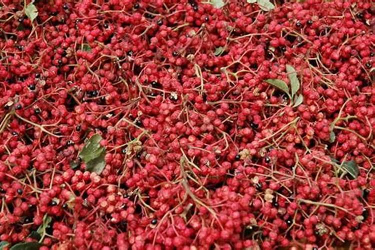 花椒喜欢什么肥料