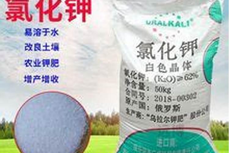 钾肥的作用是什么 钾肥的种类