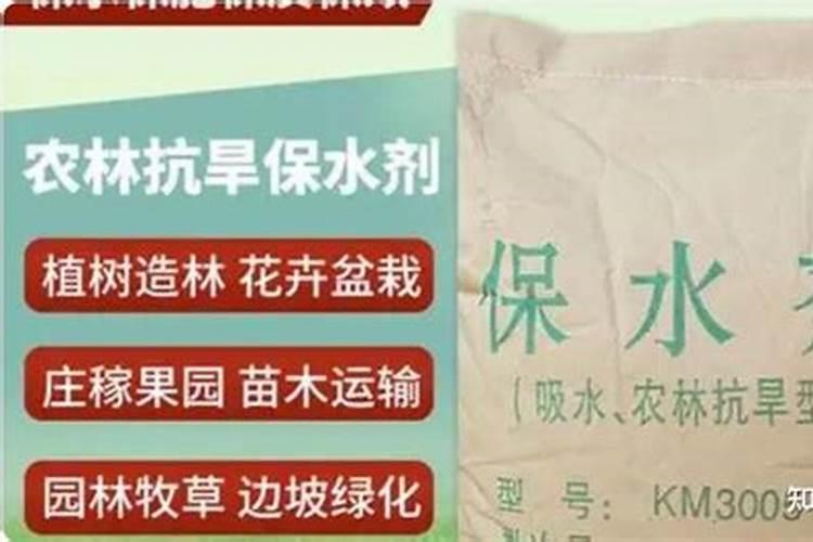 葱放什么肥料会张粗、大？